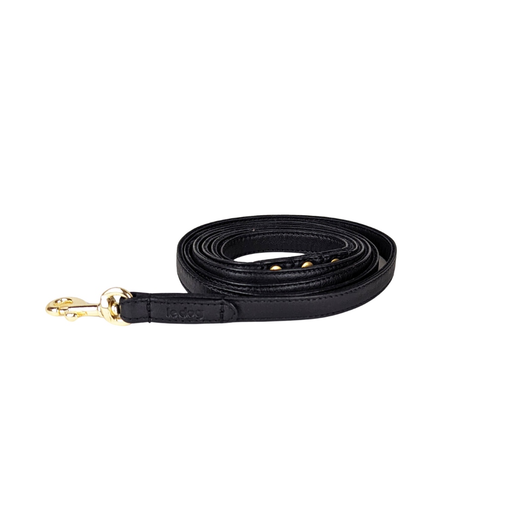 Skinny leather leash in black perfect for smaller dogs with gold all brass hardware