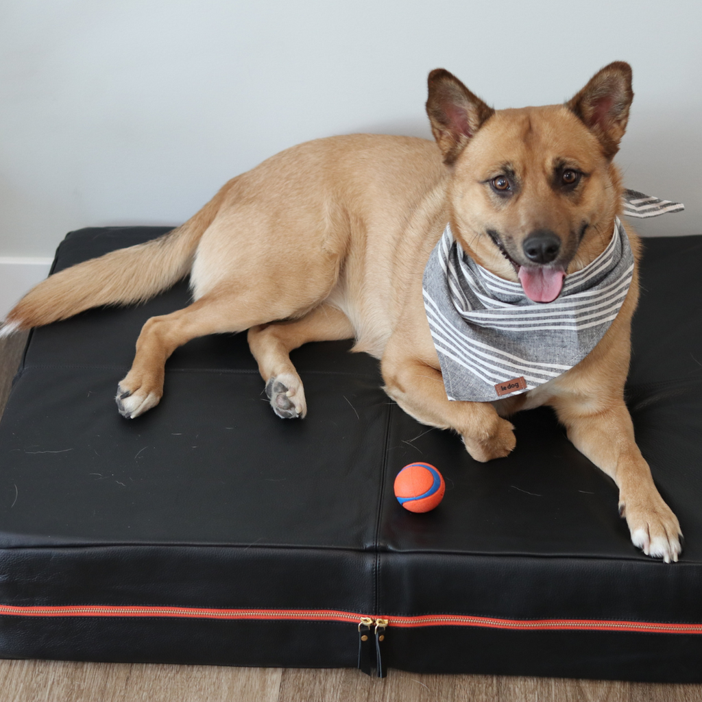 Le Bed Black Detail Best Dog Bed  | Le Dog Company