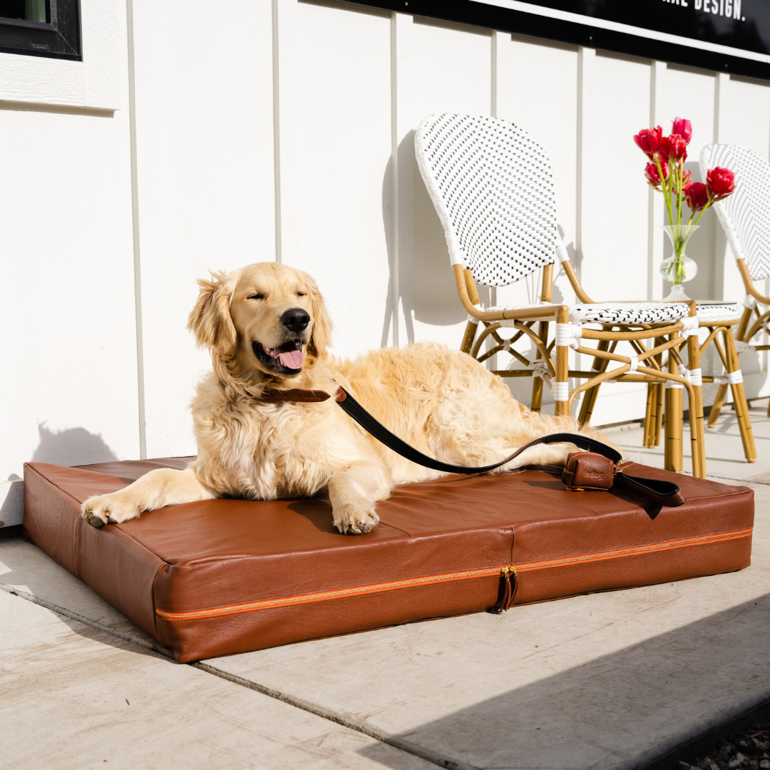 Chocolate Brown Leather Dog Bed Le Dog Company Large 45 x35 x6 Leather Cover Orthopedic Dual Foam Mattress