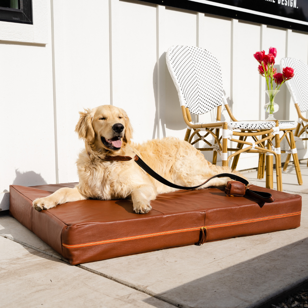 Le Bed Cognac Lifestyle Outside  | Le Dog Company
