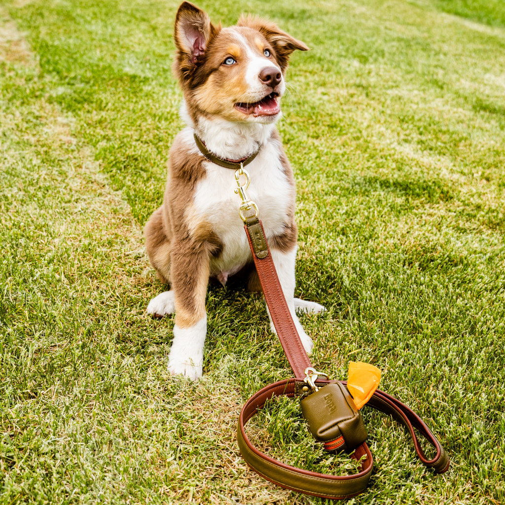 Le Poop Bag Holder in Grass Set  | Le Dog Company