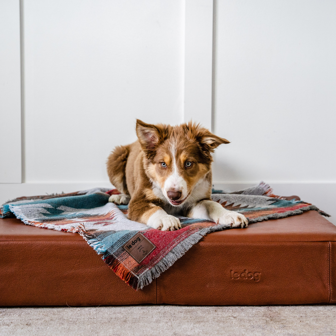 Cognac Tan Leather Dog Bed Le Dog Company
