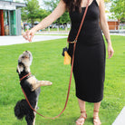 Le Dog  Longline Leash in Black | Hands free dog walking