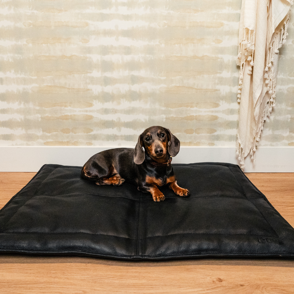Le Dog Company leather dog mat with in a stylish room.