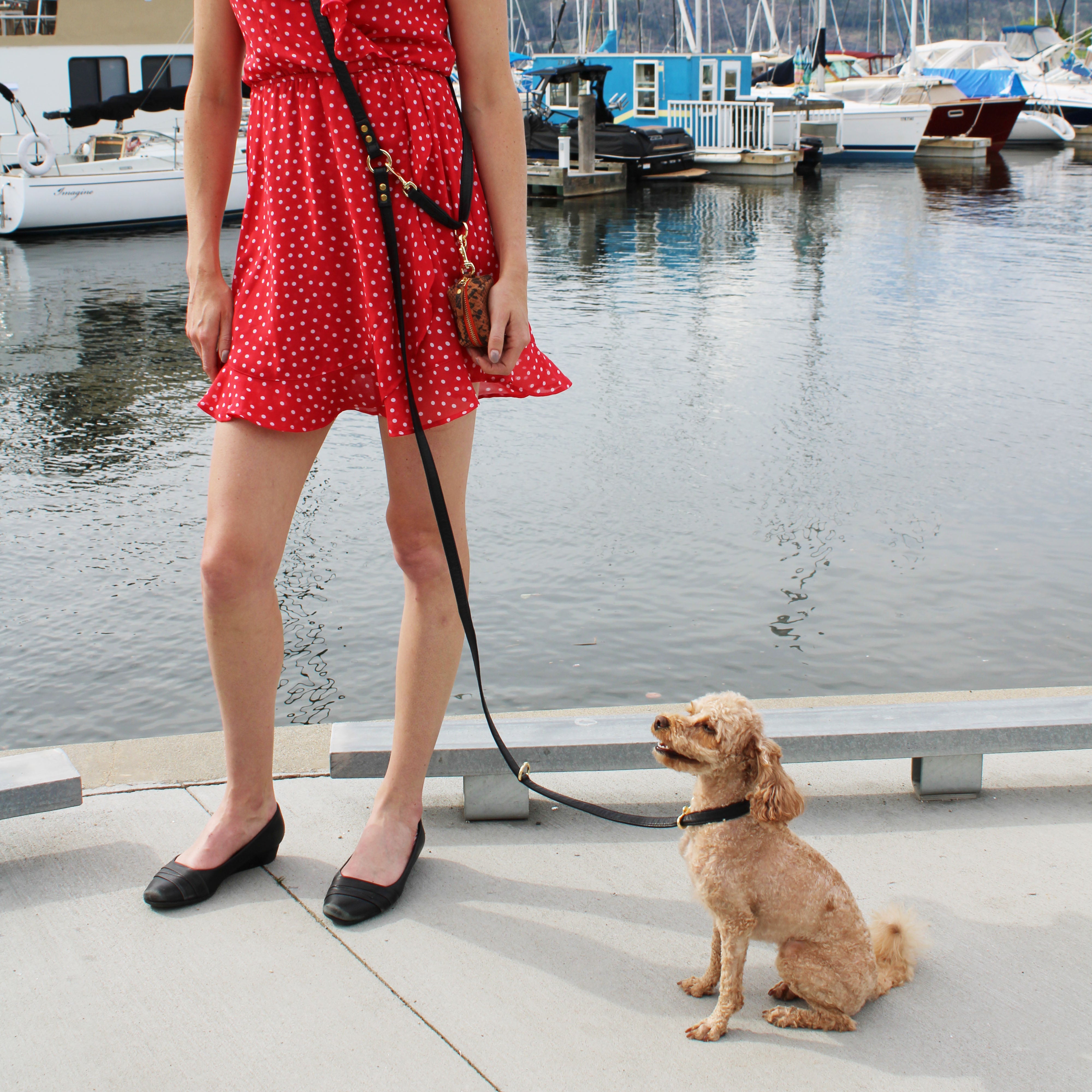 Le Dog  Longline Leash in Black modeled by a toy poodle | Hands free dog walking