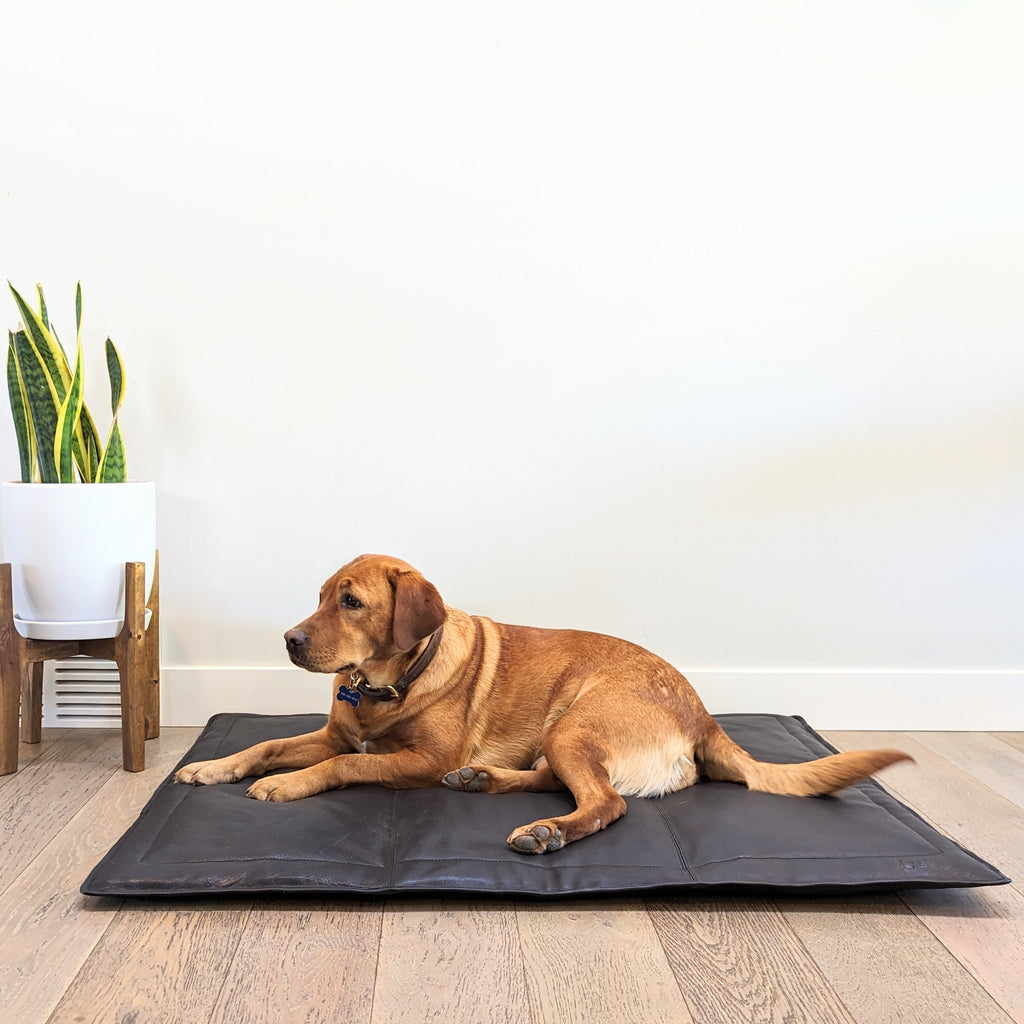Portable leather dog mat by Le Dog Company in a simple modern living room.