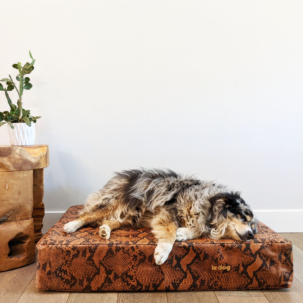 Le Bed Python | The most stylish dog bed ever made 
